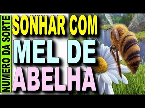 sonhar com mel de abelha jogo do bicho